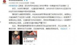 快手李果爆料事件视频,揭秘背后真相与争议